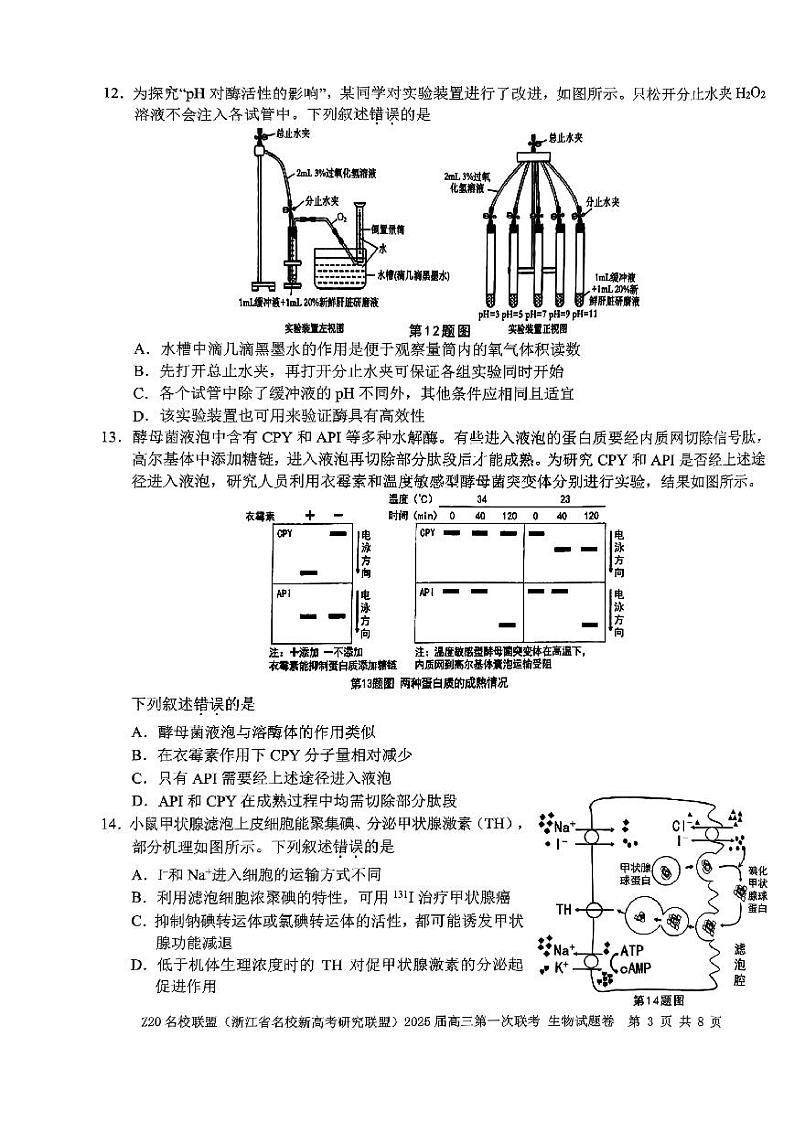 2024年Z20名校联盟(浙江省名校新高考研究联盟)高三上学期8月生物试题03