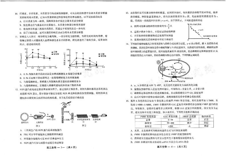 生物试卷第2页