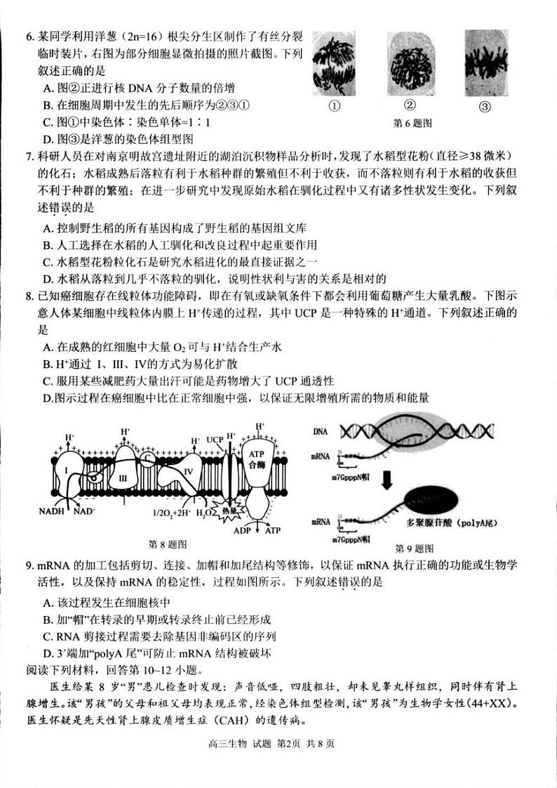 2024年浙江省高三上学期8月七彩阳光返校考生物试题及答案02