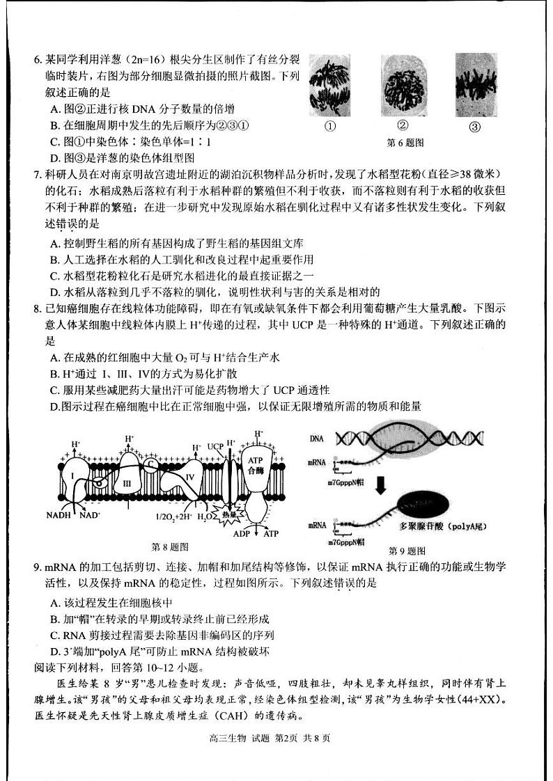 2024年浙江省高三上学期8月七彩阳光返校考生物试题及答案02