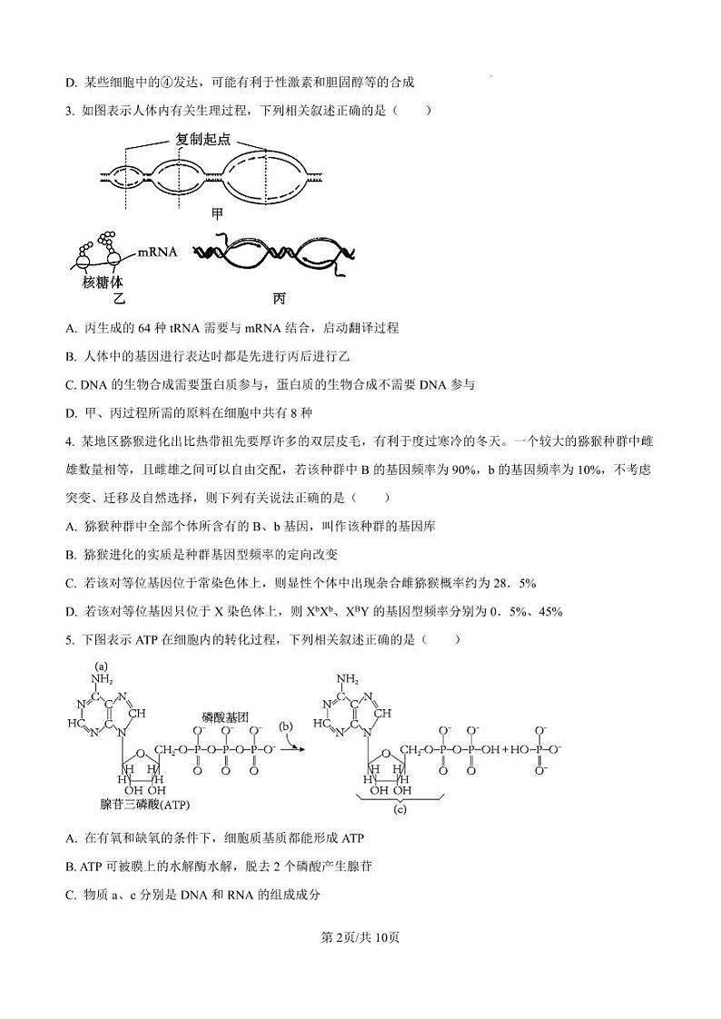 湖南省湖南天壹名校联盟2025届高三上学期8月入学联考考试+生物试题及答案02