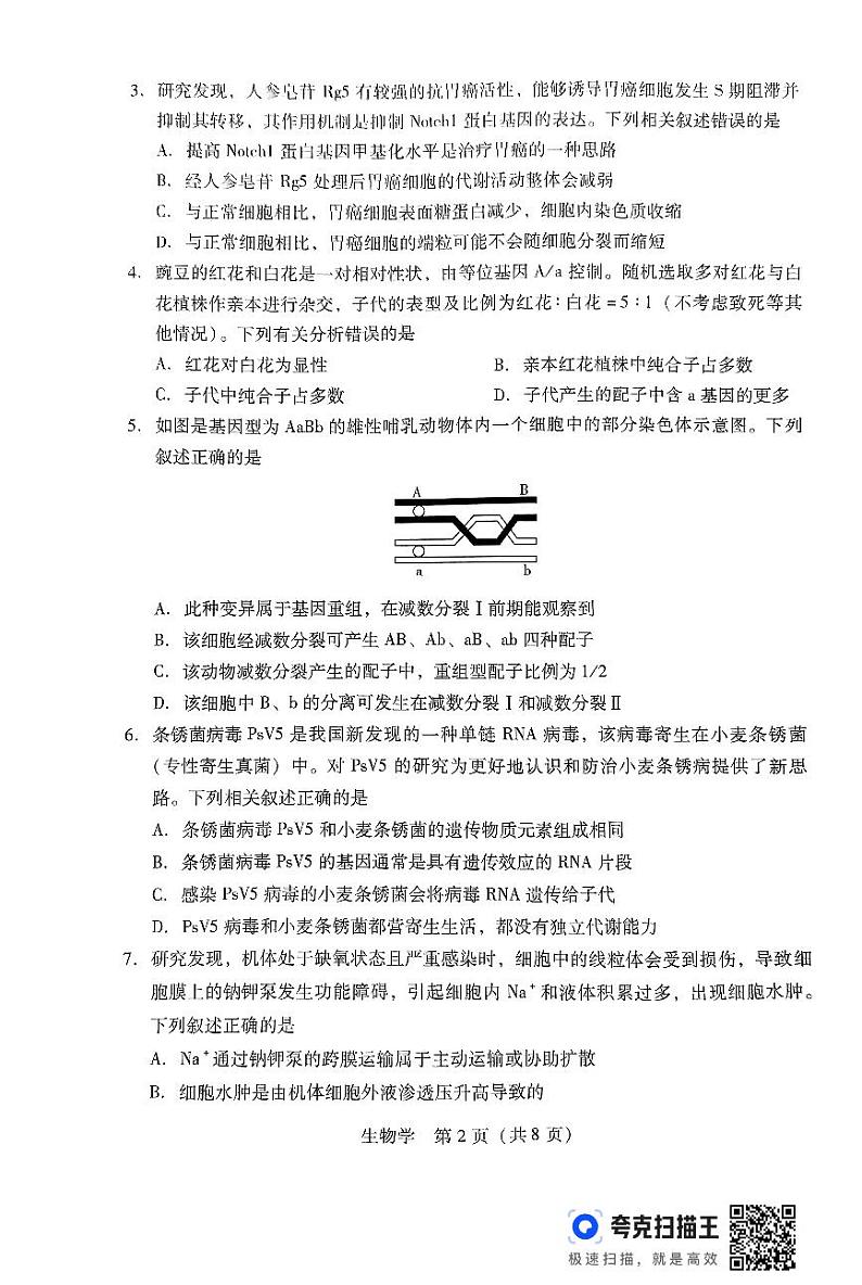 广东省2024-2025学年高三上学期毕业班第一次调研考试生物02