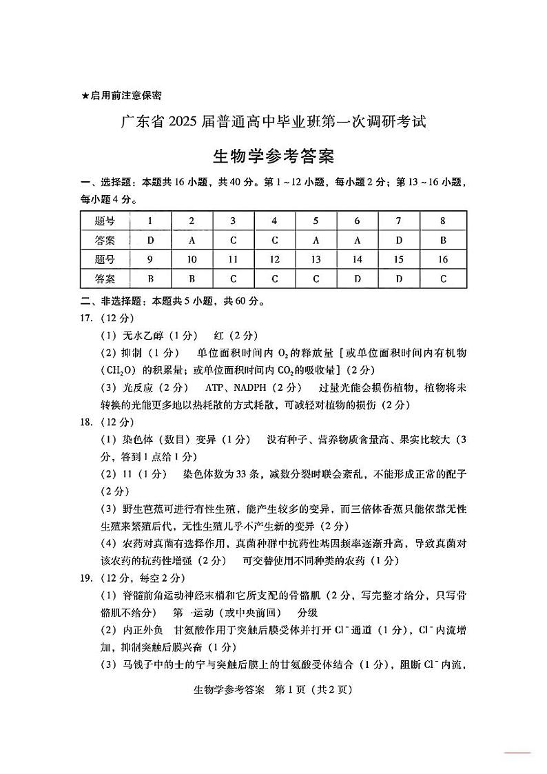 广东省2024-2025学年高三上学期毕业班第一次调研考试生物01