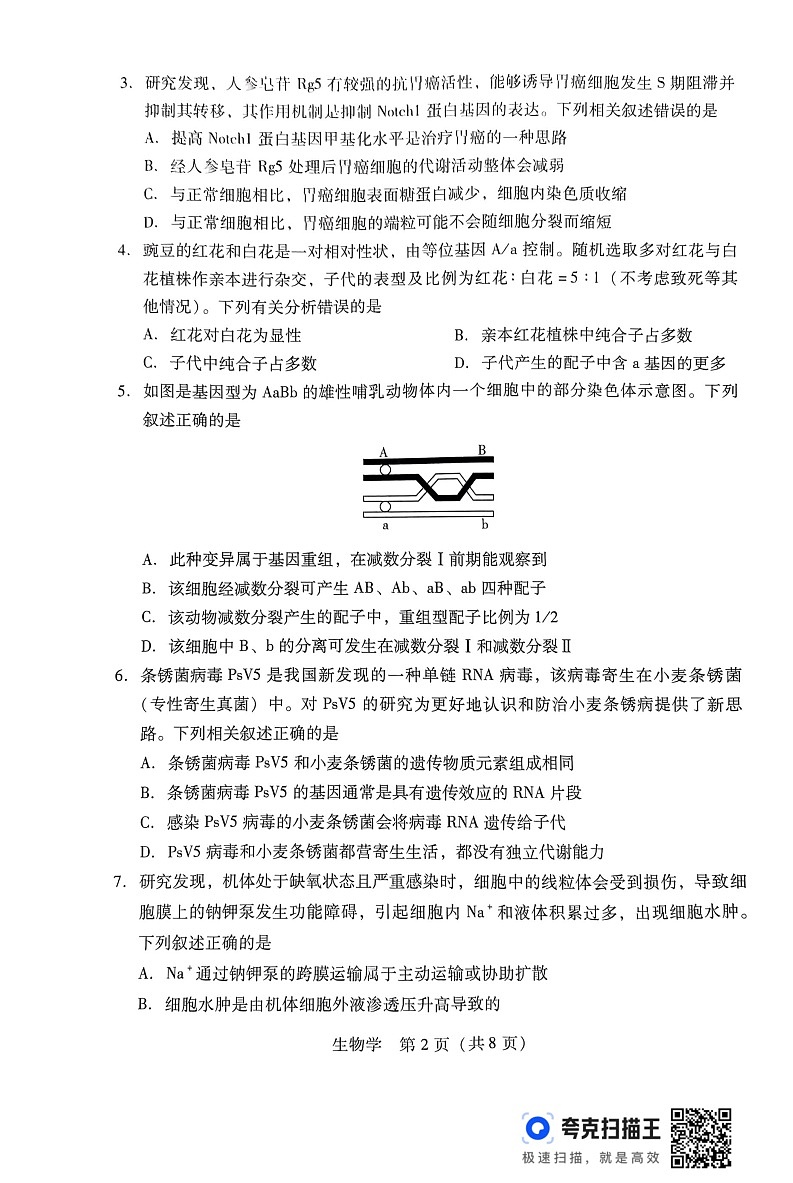 广东省2024-2025学年高三上学期毕业班第一次调研考试生物02