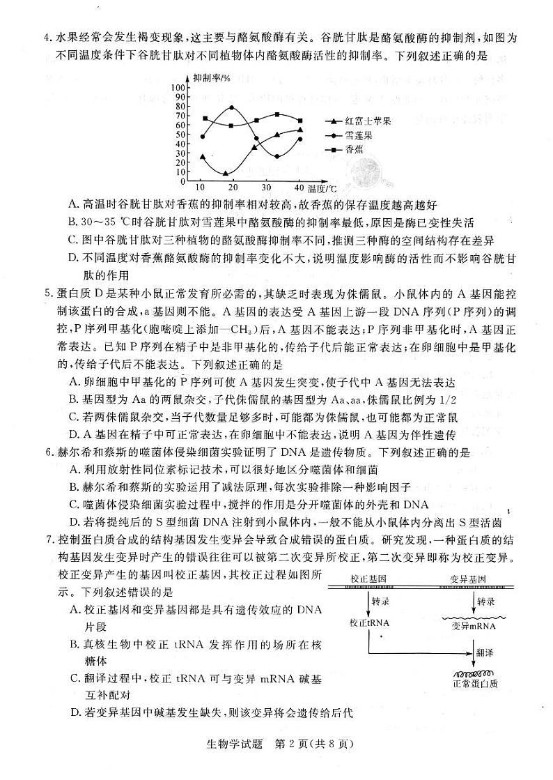 河南省新未来大联考2024-2025学年高三上学期9月开学联考生物试题第2页
