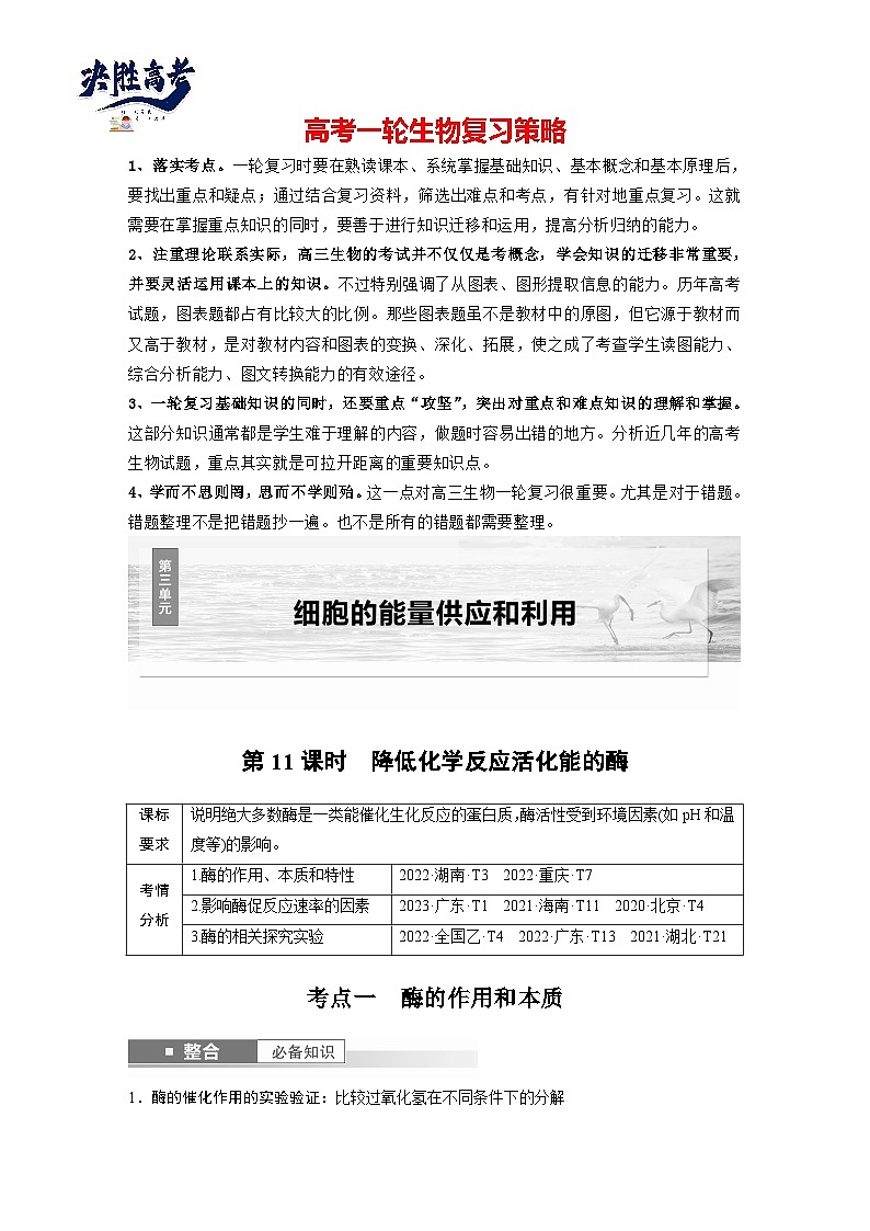 第三单元　第11课时　降低化学反应活化能的酶-2025年高考生物大一轮复习（课件+讲义+练习）学生版第1页