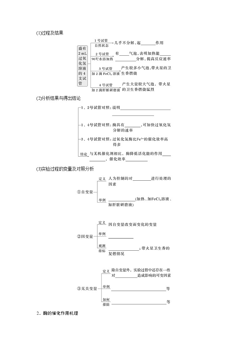 第三单元　第11课时　降低化学反应活化能的酶-2025年高考生物大一轮复习（课件+讲义+练习）学生版第2页