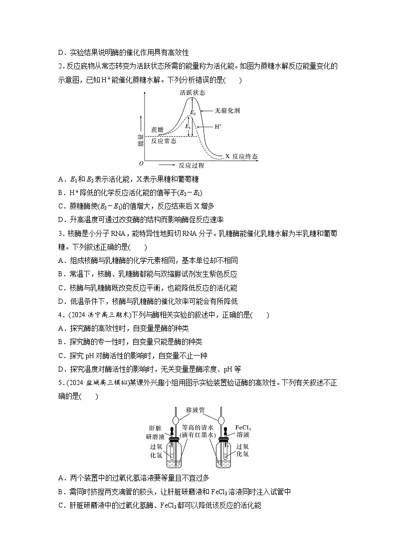 第三单元　课时练11  降低化学反应活化能的酶-2025年高考生物大一轮复习（课件+讲义+练习）专练第2页