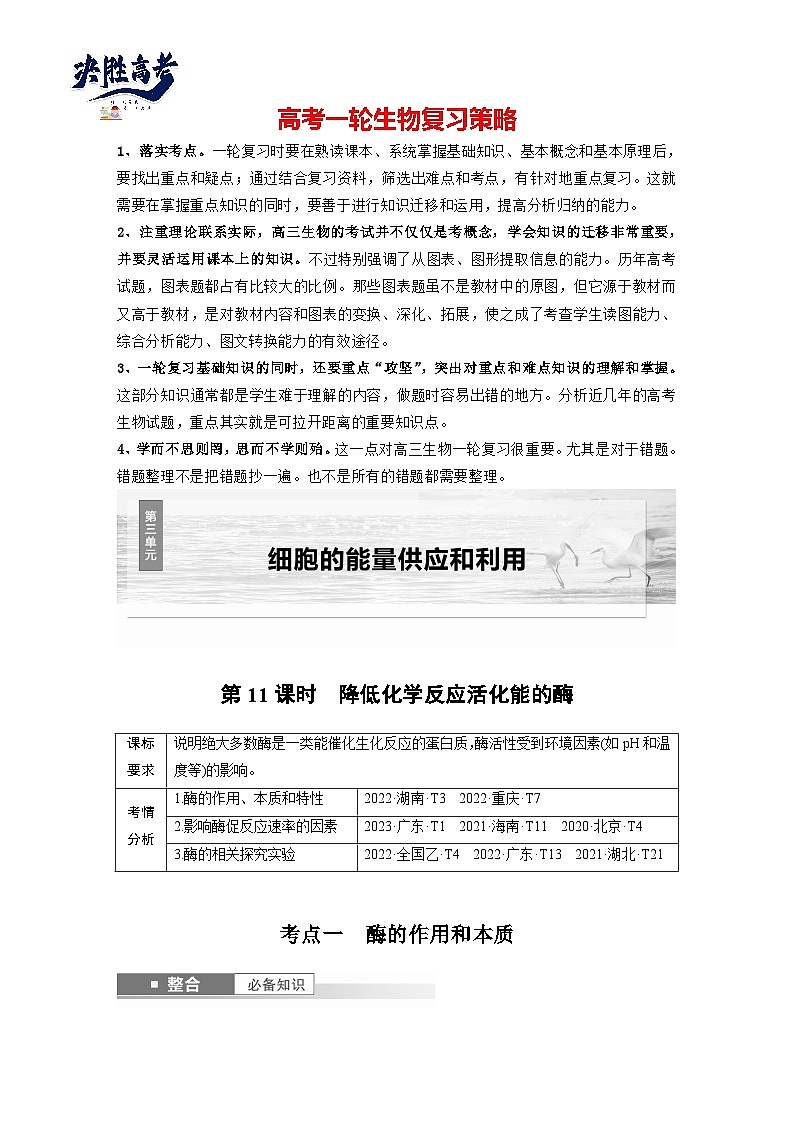 第三单元　第11课时　降低化学反应活化能的酶-2025年高考生物大一轮复习（课件+讲义+练习）教师版第1页