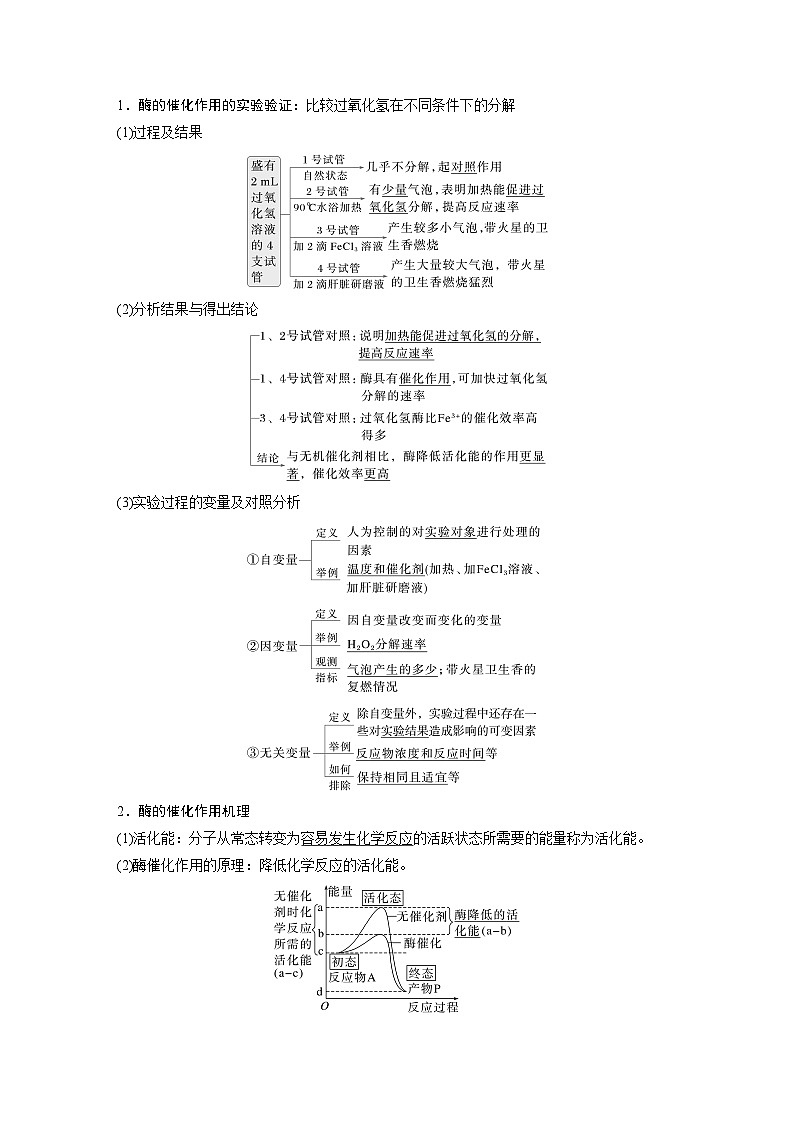 第三单元　第11课时　降低化学反应活化能的酶-2025年高考生物大一轮复习（课件+讲义+练习）教师版第2页