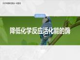 第三单元　第十一课时　降低化学反应活化能的酶-2025年高考生物大一轮复习（课件+讲义+练习）