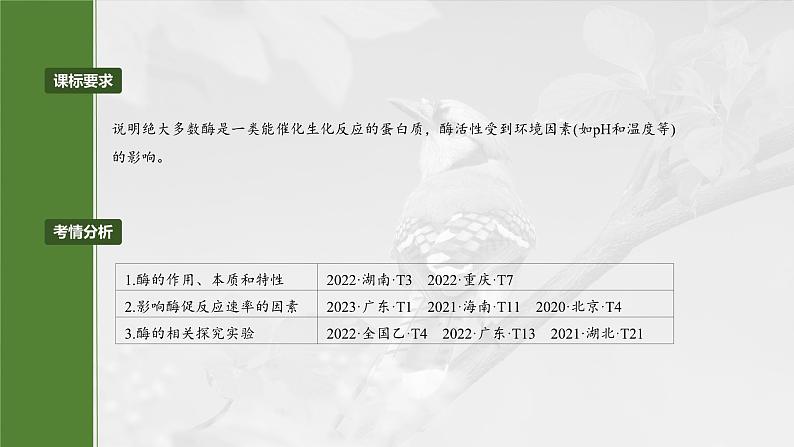 第三单元　第十一课时　降低化学反应活化能的酶-2025年高考生物大一轮复习（课件+讲义+练习）04