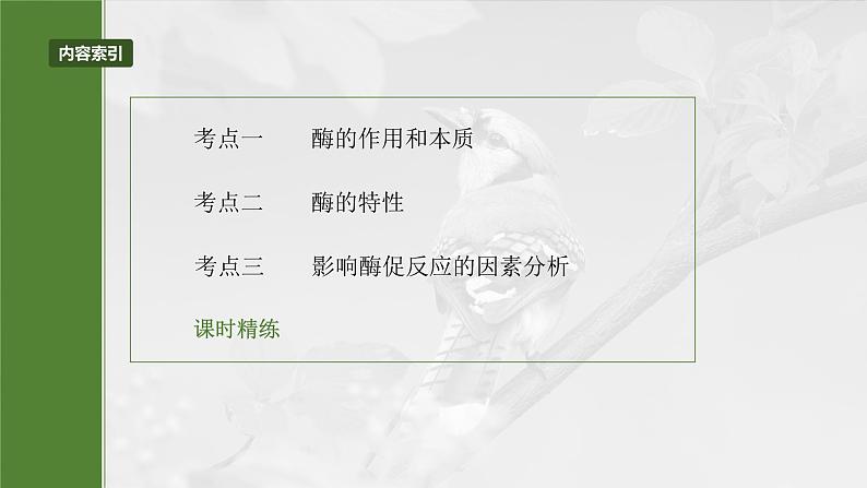 第三单元　第十一课时　降低化学反应活化能的酶-2025年高考生物大一轮复习（课件+讲义+练习）05