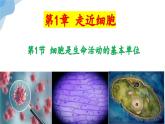 1.1 细胞是生命活动的基本单位 课件（人教版2019必修1）