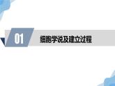 1.1 细胞是生命活动的基本单位 课件（人教版2019必修1）