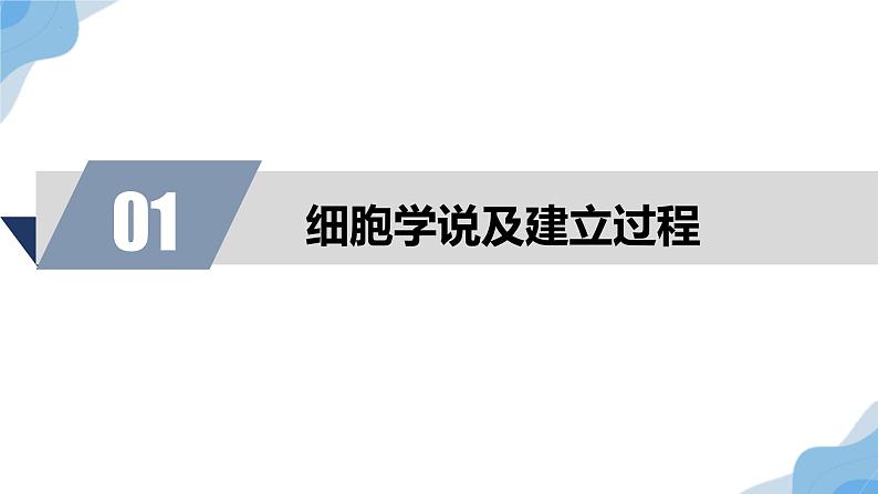 1.1 细胞是生命活动的基本单位 课件（人教版2019必修1）05