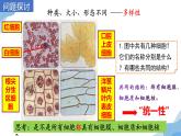 1.2 细胞的多样性和统一性 课件（人教版2019必修1）