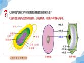 1.2 细胞的多样性和统一性 课件（人教版2019必修1）