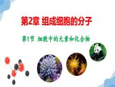2.1 细胞中的元素和化合物 课件（人教版2019必修1）