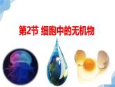 2.2 细胞中的无机物  课件（人教版2019必修1）