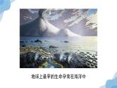 2.2 细胞中的无机物  课件（人教版2019必修1）