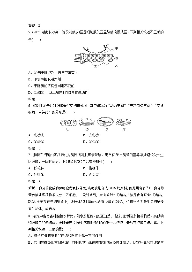 2024高中生物必修第一册（人教版2019）同步讲义章末检测试卷（第3章）（Word版附解析）02