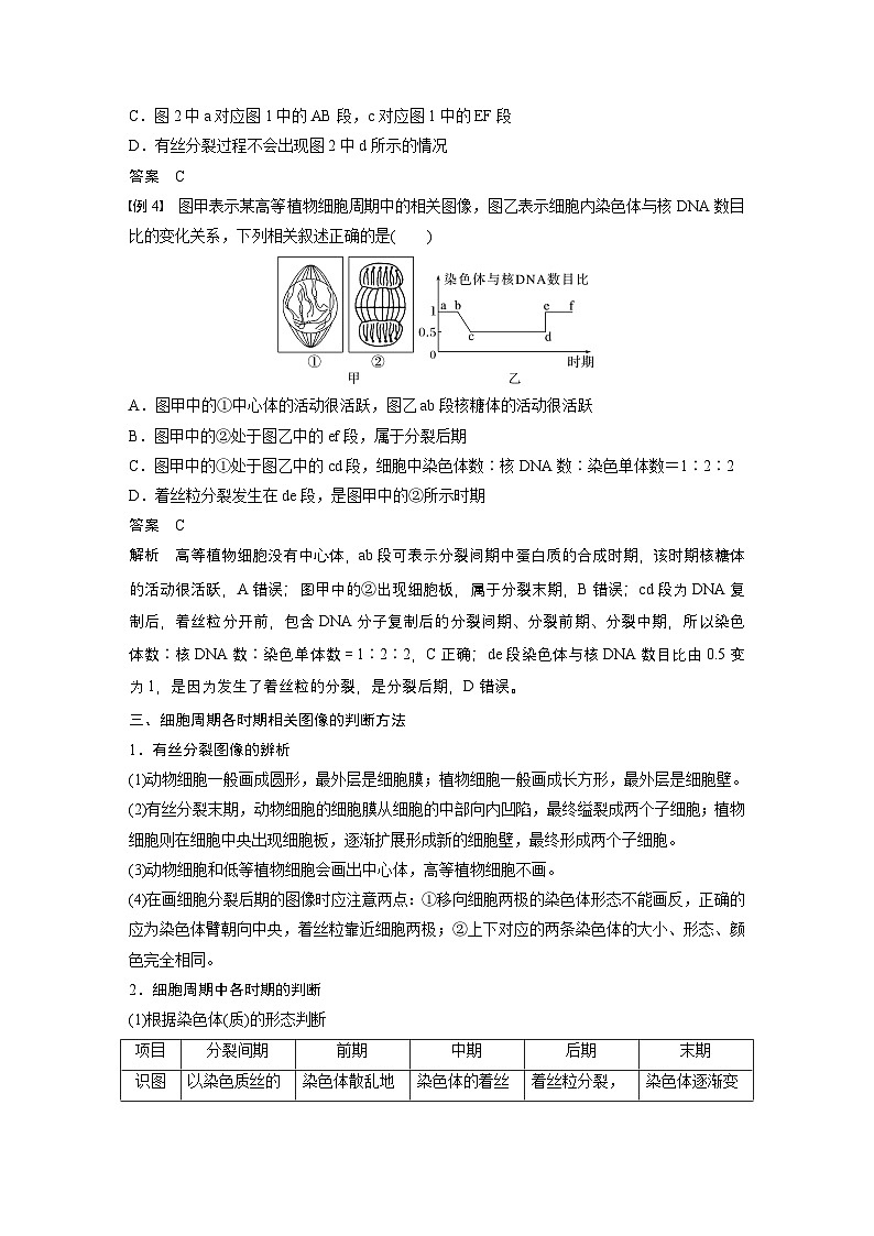 2024高中生物必修第一册（人教版2019）同步讲义第6章微专题五与有丝分裂过程相关的图像和曲线分析（Word版附解析）03