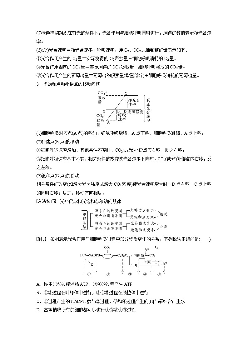 2024高中生物必修第一册（人教版2019）同步讲义第5章微专题四光合作用与细胞呼吸的关系、曲线模型及相关实验设计（Word版附解析）02