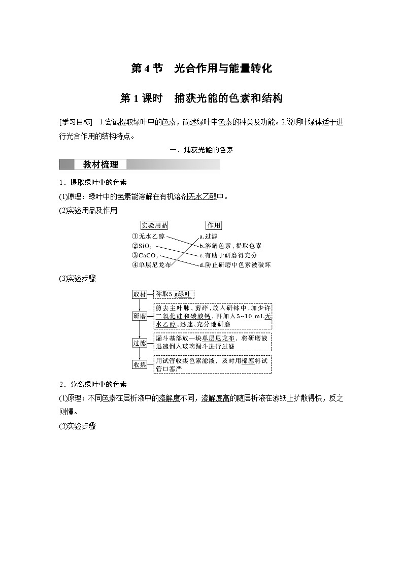 2024高中生物必修第一册（人教版2019）同步讲义第5章第4节第1课时捕获光能的色素和结构（Word版附解析）01