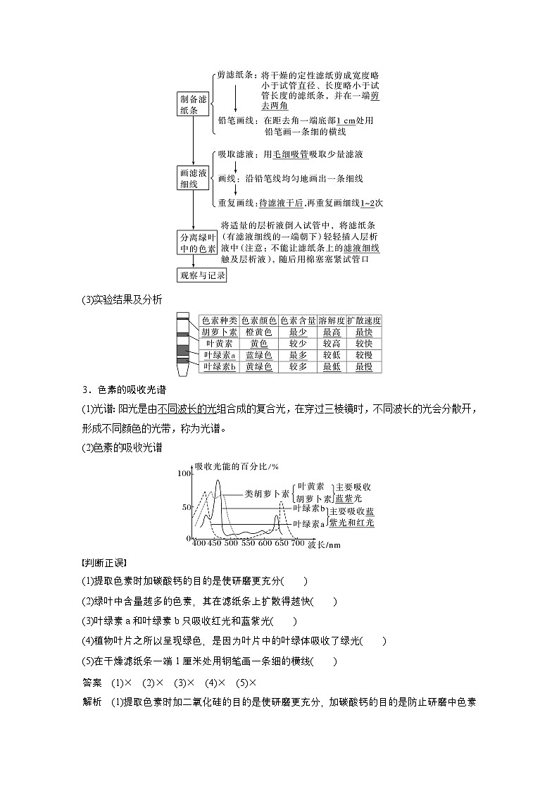 2024高中生物必修第一册（人教版2019）同步讲义第5章第4节第1课时捕获光能的色素和结构（Word版附解析）02