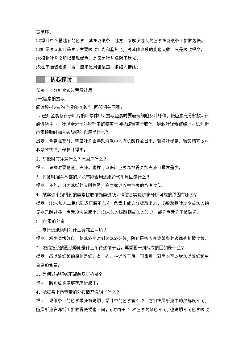 2024高中生物必修第一册（人教版2019）同步讲义第5章第4节第1课时捕获光能的色素和结构（Word版附解析）03