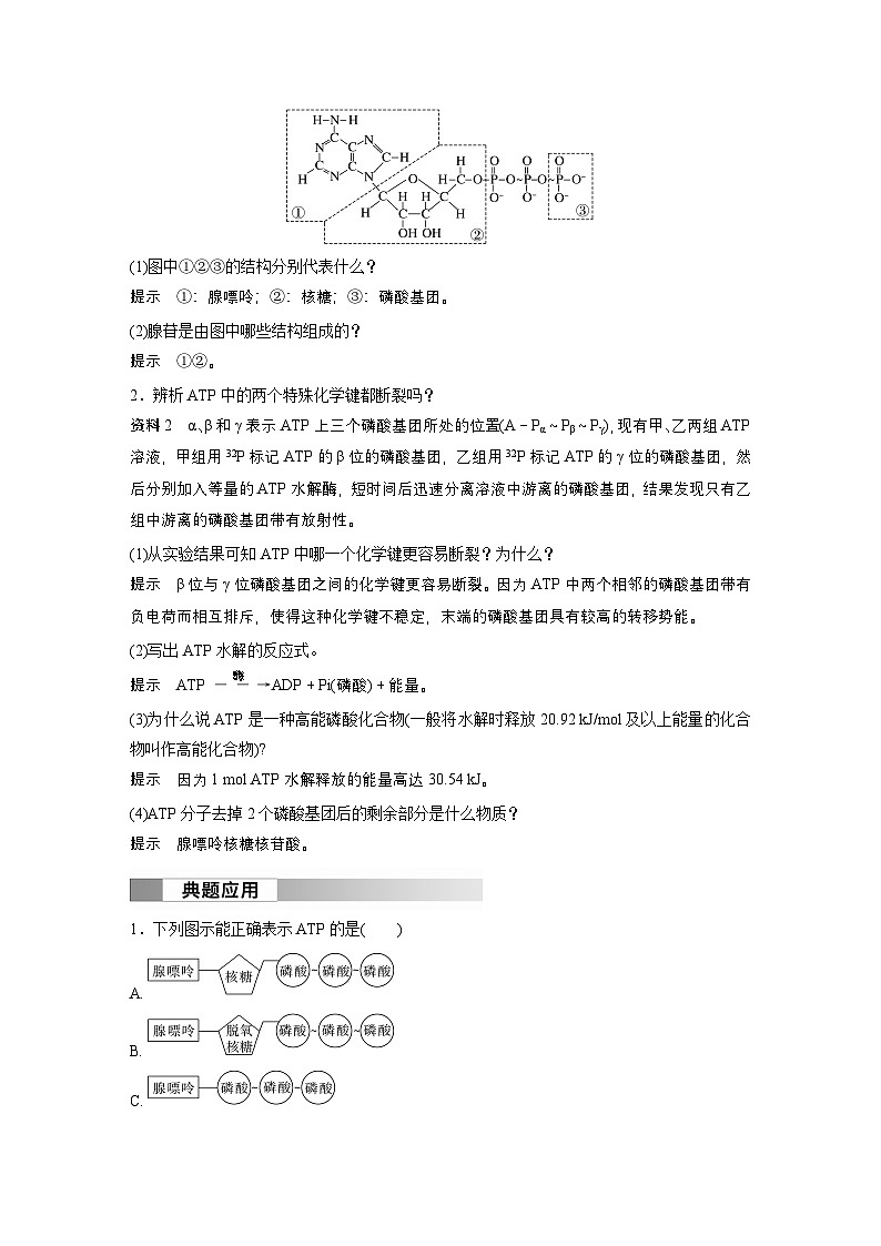 2024高中生物必修第一册（人教版2019）同步讲义第5章第2节细胞的能量“货币”ATP（Word版附解析）02