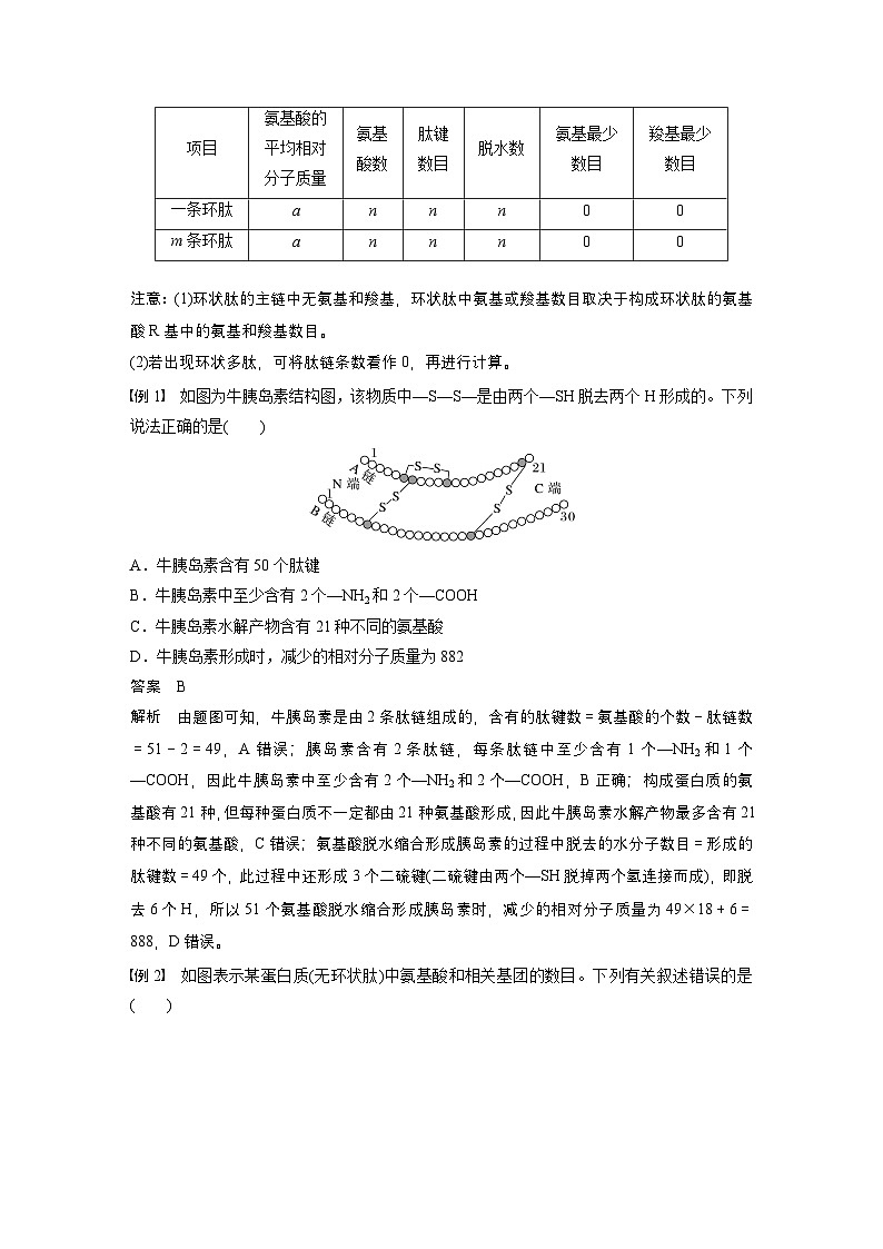 2024高中生物必修第一册（人教版2019）同步讲义第2章微专题一与蛋白质的合成和水解过程相关的计算（Word版附解析）02