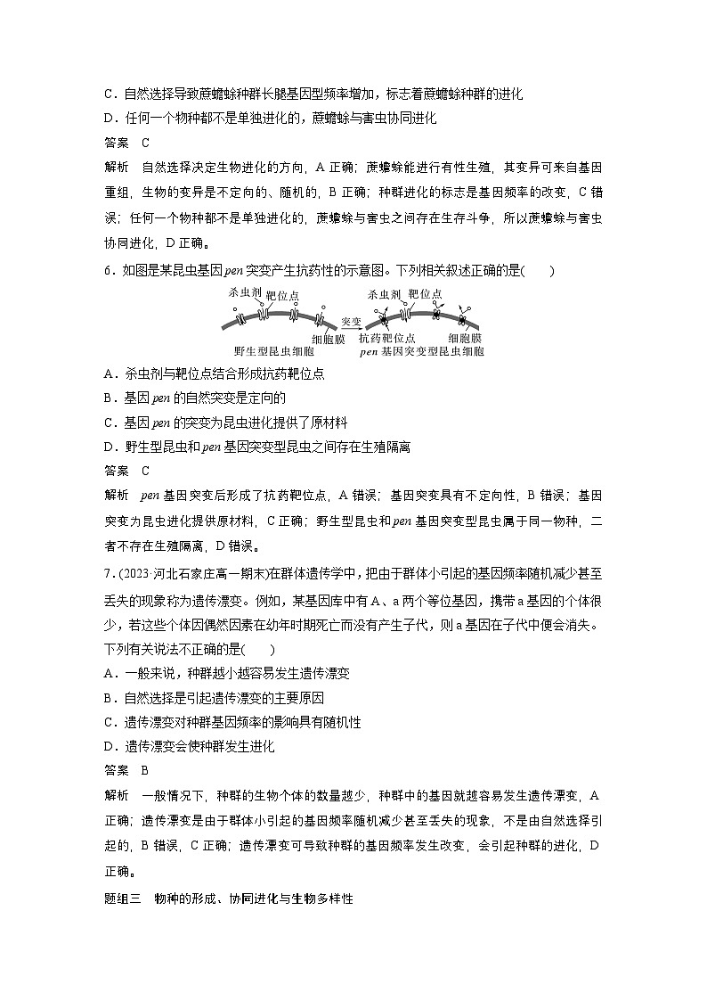 2024高中生物必修第二册（人教版2019）同步讲义第6章重点突破练（六）（Word版附解析）第3页
