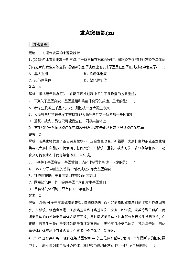 2024高中生物必修第二册（人教版2019）同步讲义第5章重点突破练（五）（Word版附解析）01
