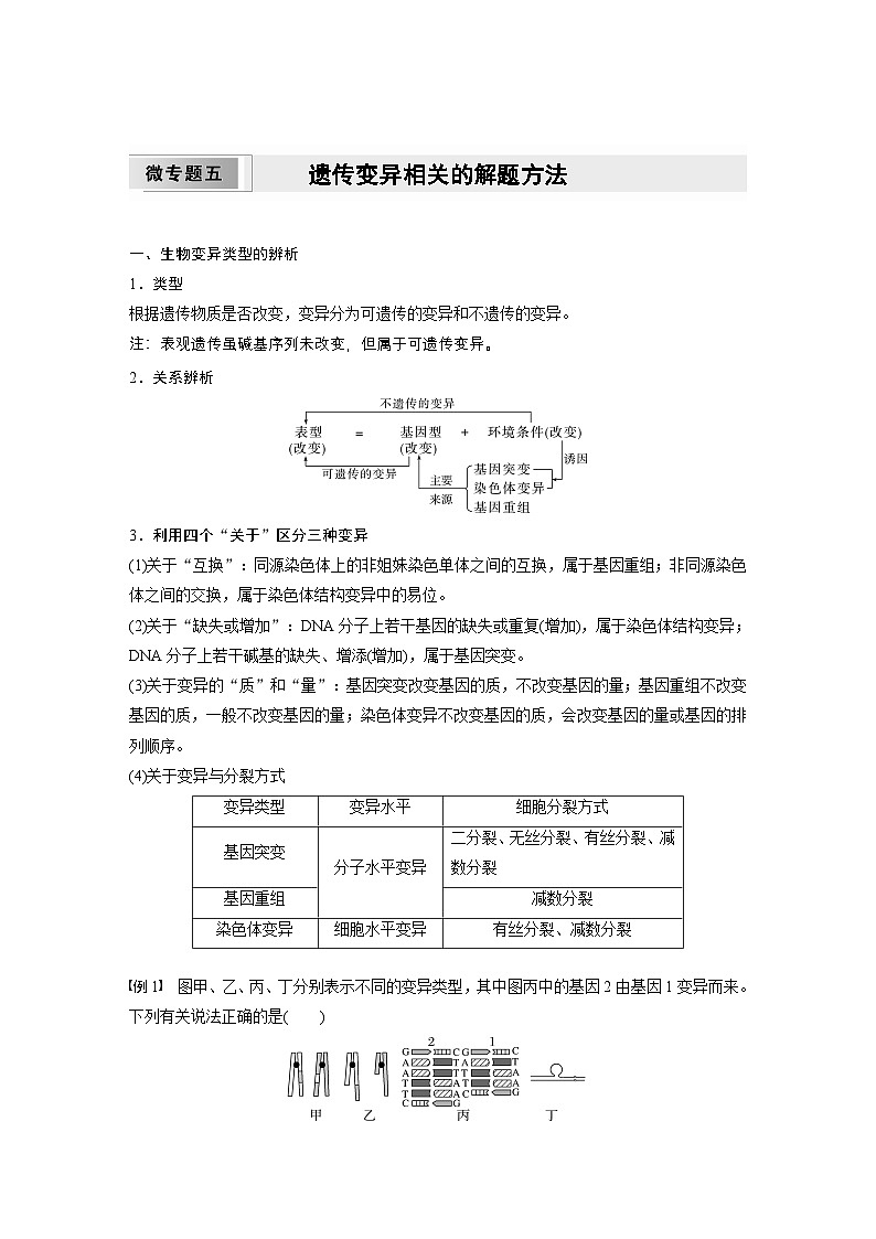 2024高中生物必修第二册（人教版2019）同步讲义第5章微专题五遗传变异相关的解题方法（Word版附解析）第1页