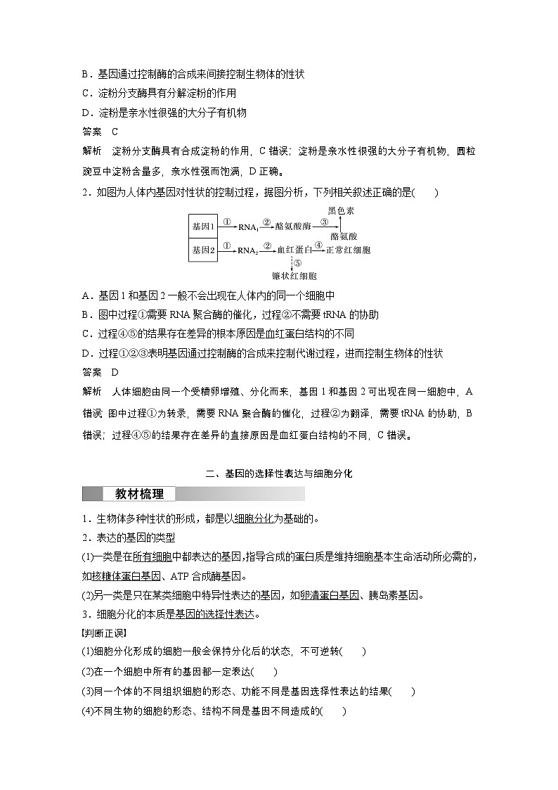 2024高中生物必修第二册（人教版2019）同步讲义第4章第2节基因表达与性状的关系（Word版附解析）02
