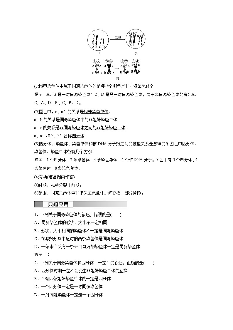 2024高中生物必修第二册（人教版2019）同步讲义第2章第1节第1课时减数分裂的相关概念、精子的形成过程（Word版附解析）第2页