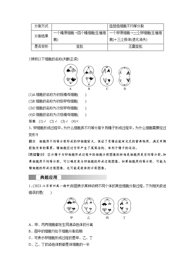 2024高中生物必修第二册（人教版2019）同步讲义第2章第1节第2课时卵细胞的形成过程、细胞分裂综合题型解题规律（Word版附解析）02