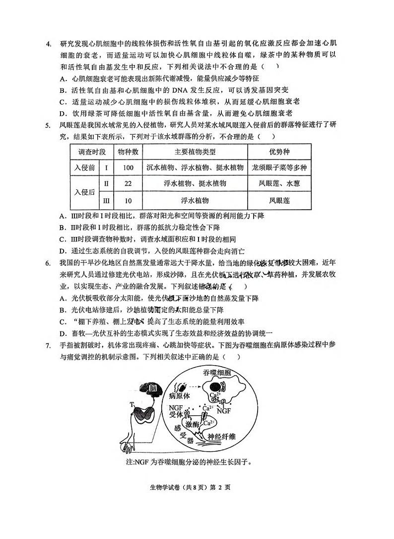 生物丨安徽省江淮十校2025届高三8月第一次联考试卷生物试卷及答案02
