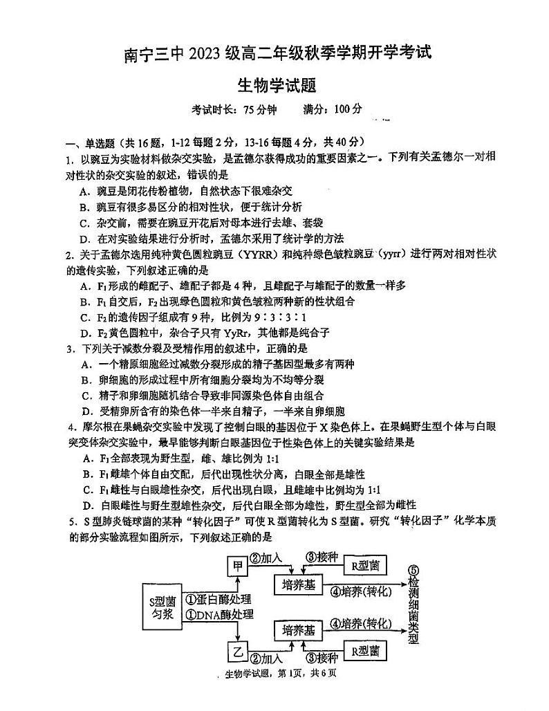 广西壮族自治区南宁市兴宁区南宁市第三中学2024-2025学年高二上学期开学考试生物试题01