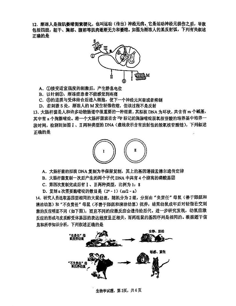 广西壮族自治区南宁市兴宁区南宁市第三中学2024-2025学年高二上学期开学考试生物试题03