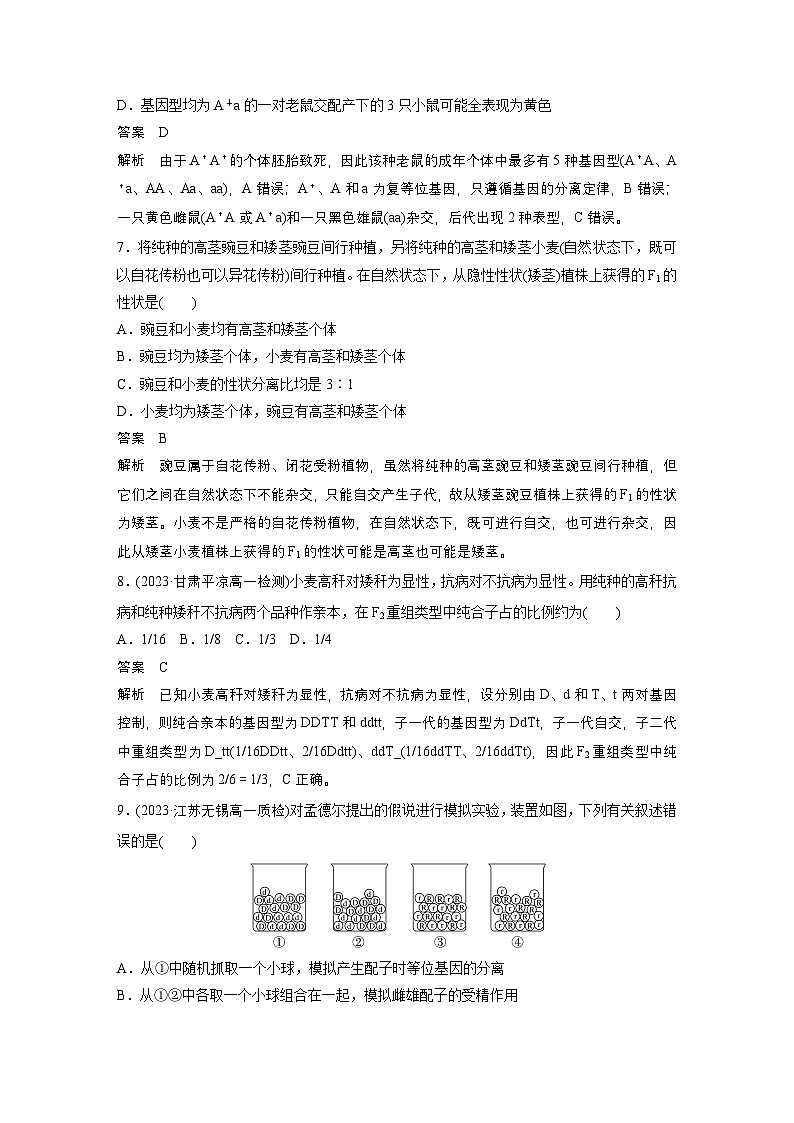 2024高中生物必修第二册（人教版2019）同步讲义章末检测试卷（一）（Word版附解析）03