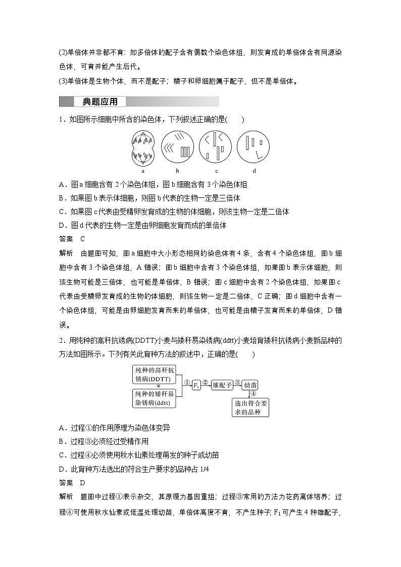 2024高中生物必修第二册（人教版2019）同步讲义第5章第2节第2课时单倍体和染色体结构变异（Word版附解析）02