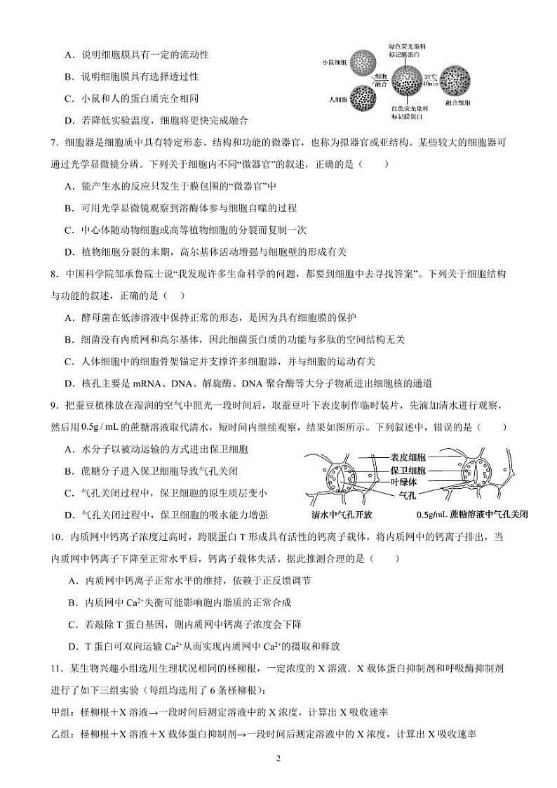 四川省成都市都江堰市万汇学校2024-2025学年高三入学考试生物试题02