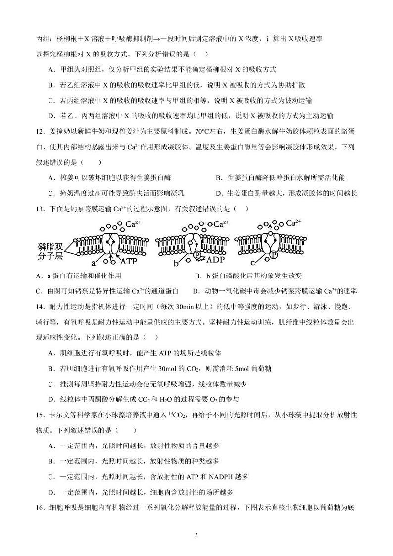 四川省成都市都江堰市万汇学校2024-2025学年高三入学考试生物试题03