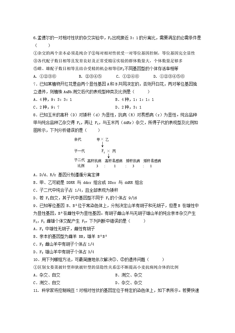 四川省成都市石室中学2023-2024学年高一下学期竞赛班4月月考生物试题（Word版附答案）02