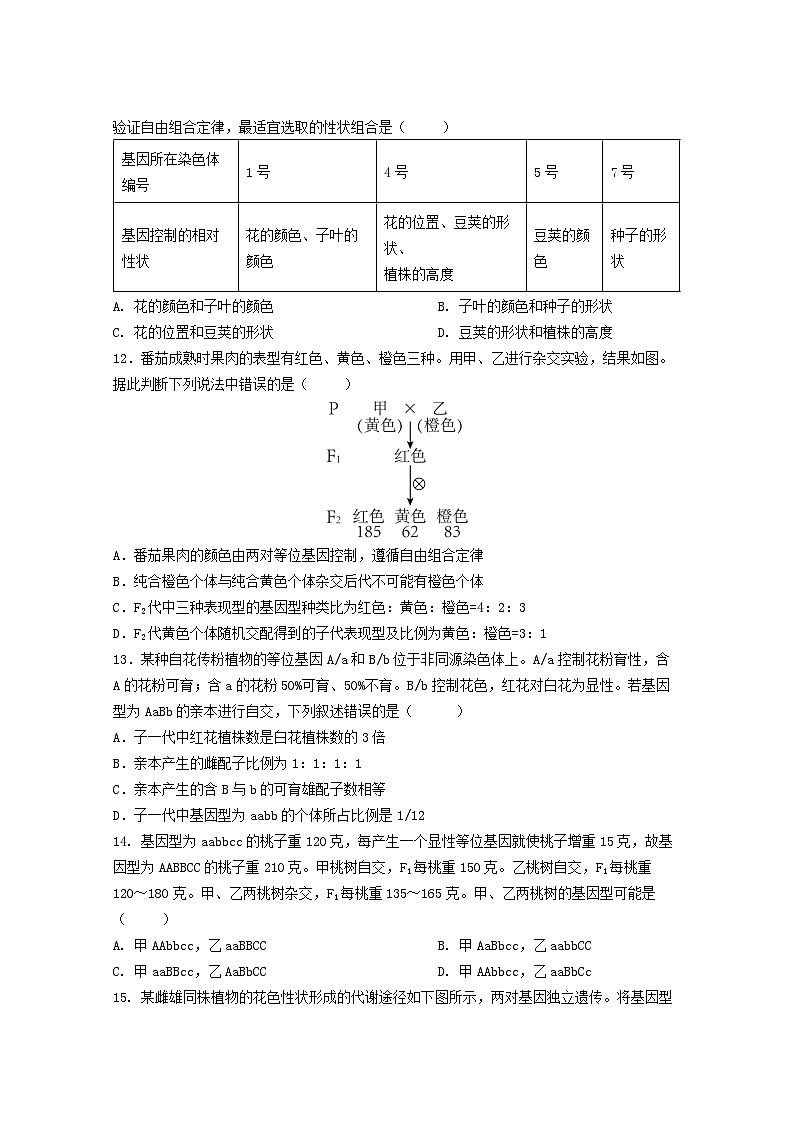 四川省成都市石室中学2023-2024学年高一下学期竞赛班4月月考生物试题（Word版附答案）03