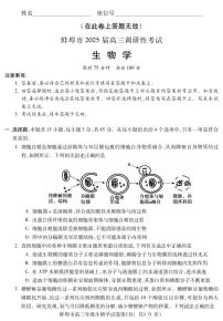 安徽省蚌埠市2024-2025学年高三上学期开学调研性考试生物试题（PDF版附答案）