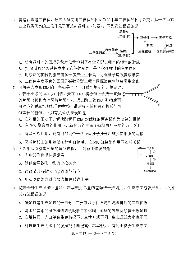 福建省福州市2024-2025学年高三上学期8月第一次质量检测生物试题（Word版附答案）第2页